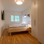 Lungau 0-6 *
