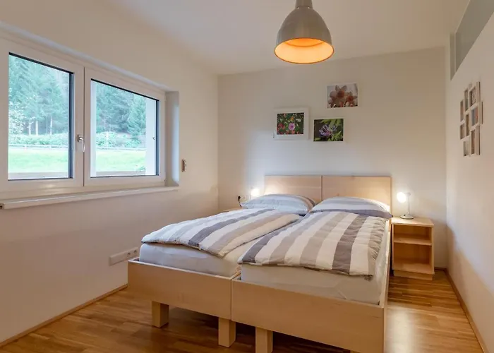 Lungau 0-6 公寓 塔姆斯韦格